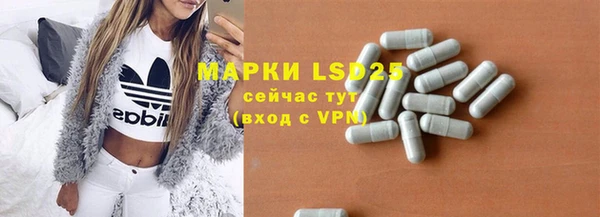 винт Верея