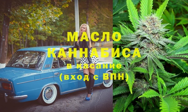 дживик Бородино