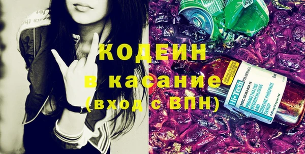 дживик Бородино