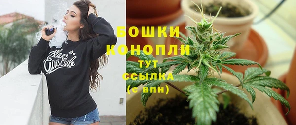 винт Верея