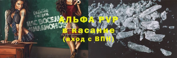 дживик Бородино